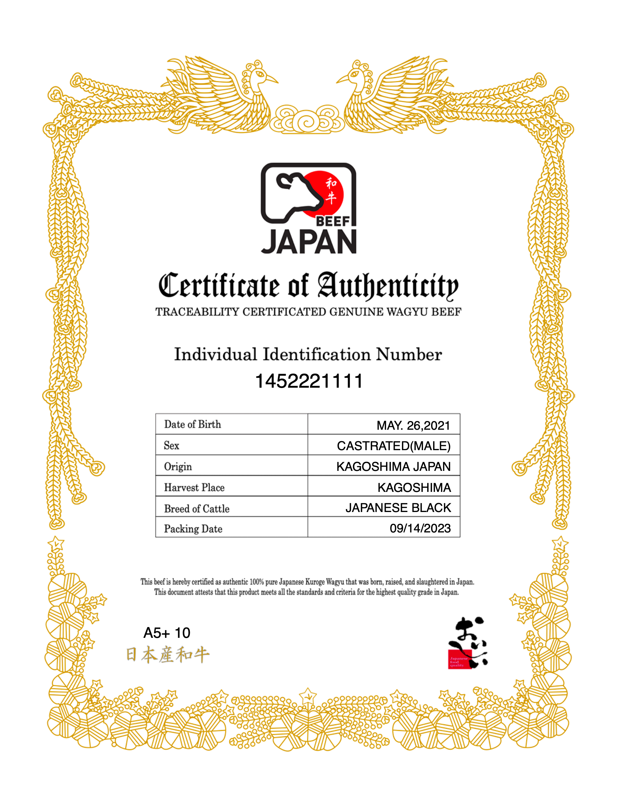 Japanese A5 Wagyu | Kagoshima | Ribeye Steak | BMS 10-11 | 12 oz