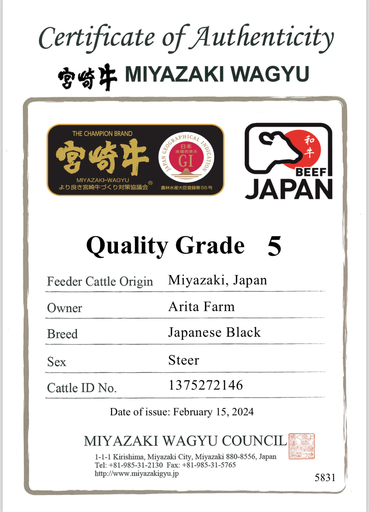 Japanese A5 Wagyu | Arita | Filet Mignon | BMS 10-11 | 8 oz